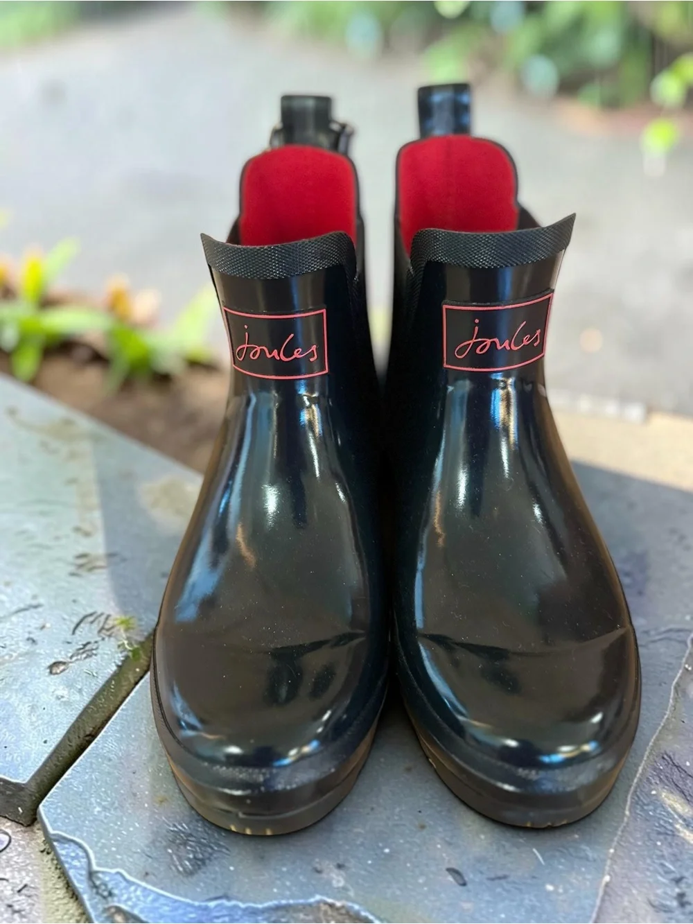 Joules nwt wellibob